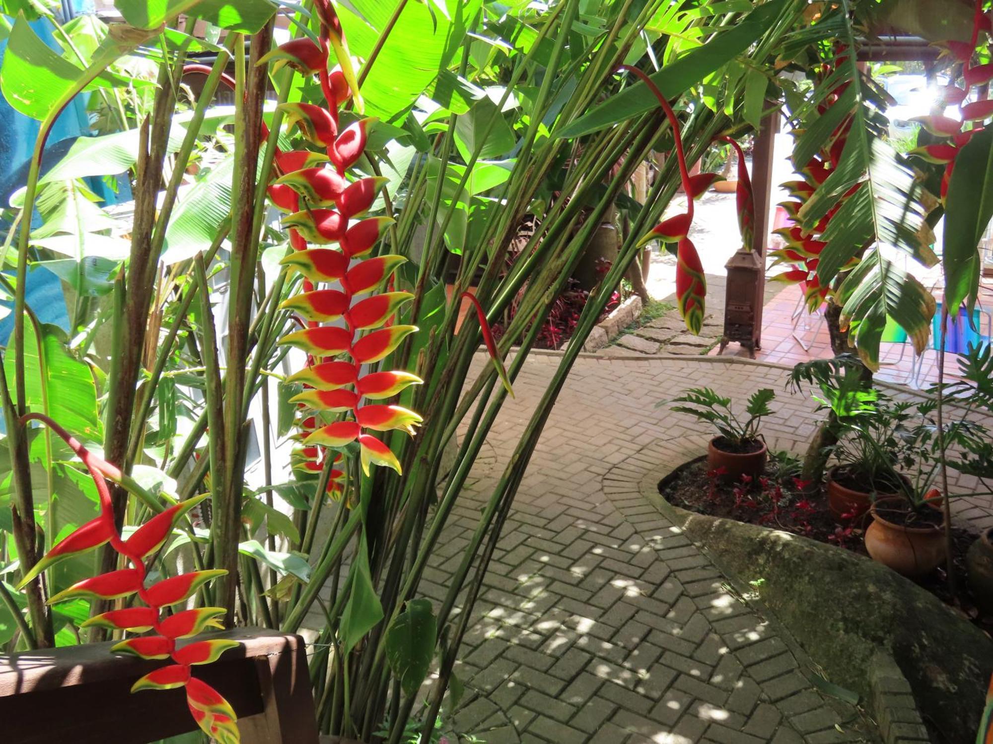 Patio Floriparadise Florianópolis Kültér fotó